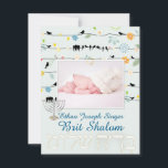 Invitation PixDezines brit shalom/cadre photo étoiles/fait-ma<br><div class="desc">PixDezines brit shalom avec des oiseaux sur les fils avec un fond de couleur fait-main pour les invitations de brit shalom, cérémonie de nomination juive. Ajoutez simplement la photo de votre bébé, Accentué de l'étoile de David.. Brit shalom en hébreu peut être copié-collé pour une opacité plus foncée. Tous droits...</div>