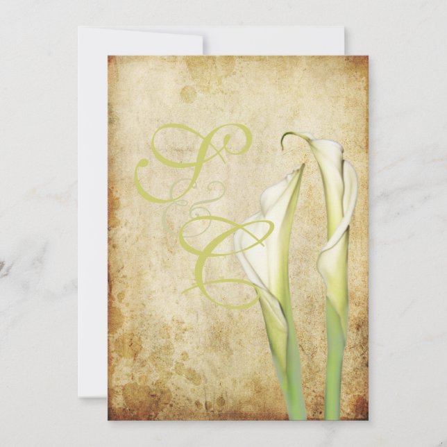 Invitation PixDezines Lys Vintages White Calla (Devant)
