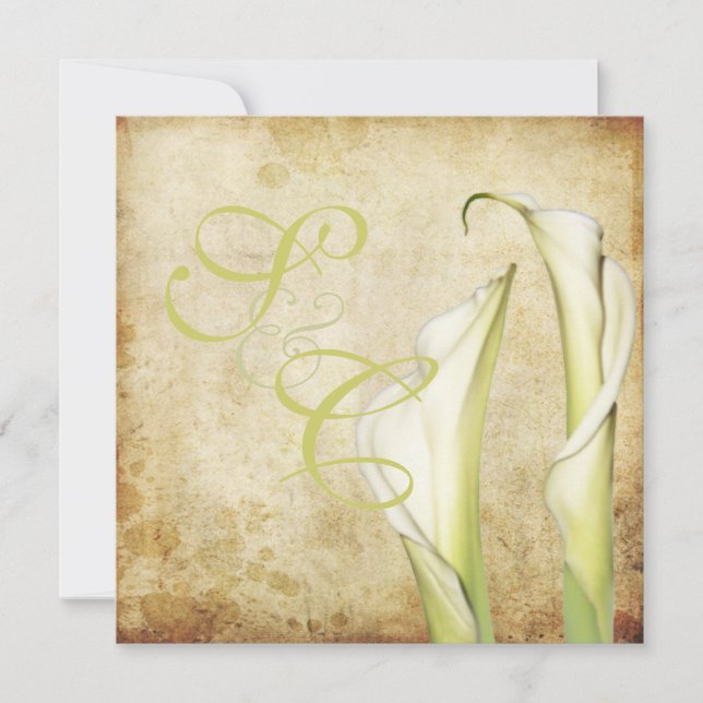Invitation PixDezines Lys Vintages White Calla (Devant)