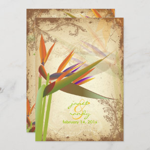 Invitation PixDezines OISEAU VINTAGE DE PARADIS