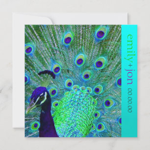 Invitation PixDezines paon plumes/aqua/turquoise