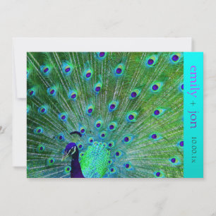 Invitation PixDezines paon plumes/aqua/turquoise