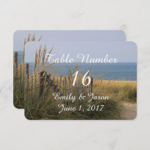Invitation Plage dans les dunes de sable