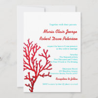 Plage de Coral moderne Destination Mariage Invitat