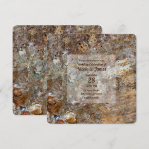 Invitation Plage de roches naturelles brutes Coquillages de m