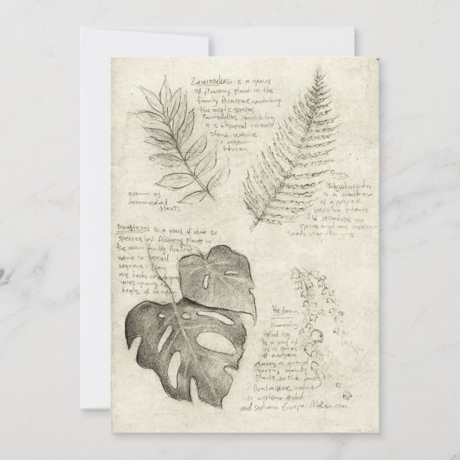 Invitation Plante (Devant)