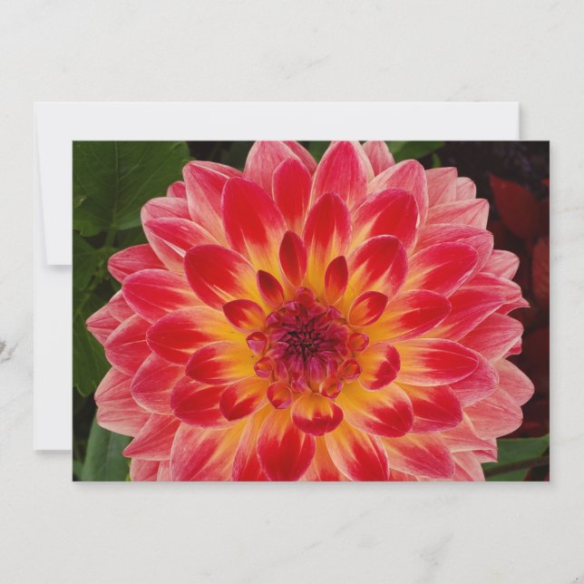 Invitation pliée vide (Devant)