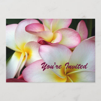 Invitation Plumeria blanche et rose
