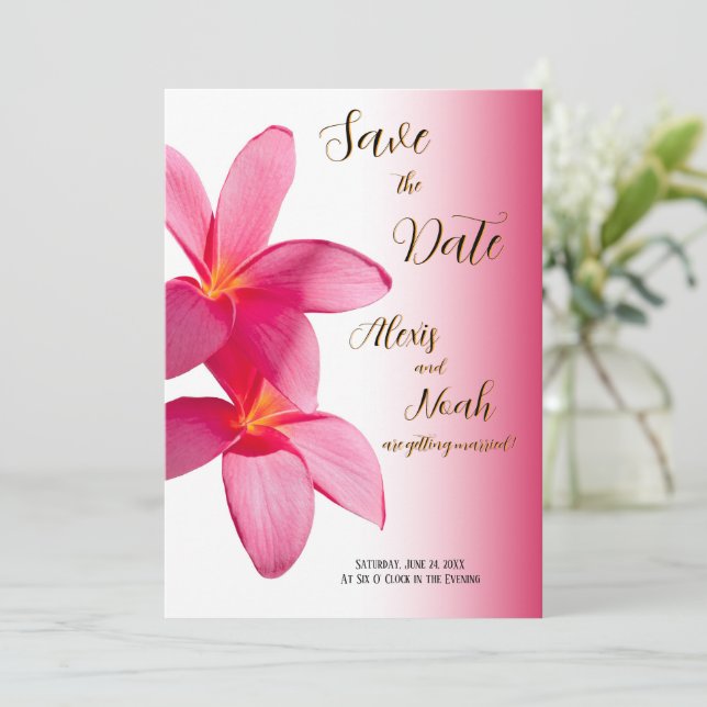Invitation Plumeria rose Fleurs sur rose, Floral, Save Date (Debout devant)