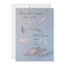 Plumes - Funérailles personnalisées / Fête de la v