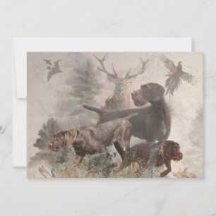 Invitation Pointeur À poils durs allemand