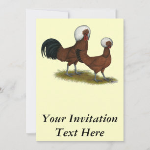 Invitation Polonais : Rouge à crête blanche