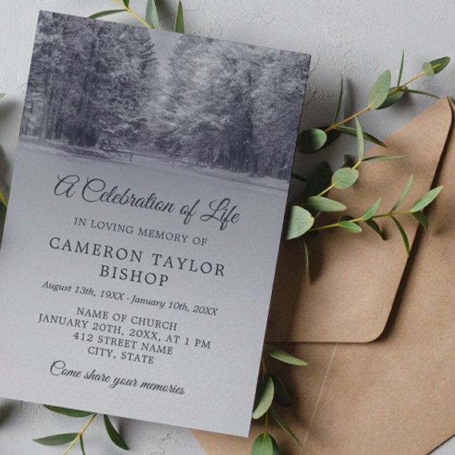 Invitation Pont d'hiver Fête de la vie (Créateur téléchargé)