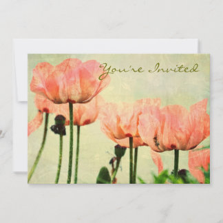Invitation Poppies roses et frissons floraux
