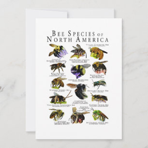 Invitation Poster de l'espèce d'abeilles en Amérique du Nord
