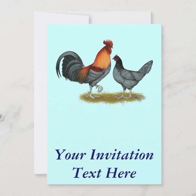 Invitation Poule bleue du Delaware (Devant)
