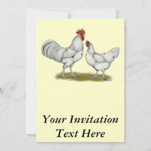 Invitation Poulets blancs Austra