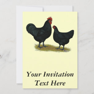Invitation Poulets géants Jersey