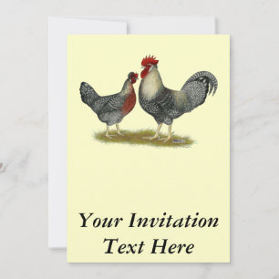 Invitation Poulets Legbar à la crème