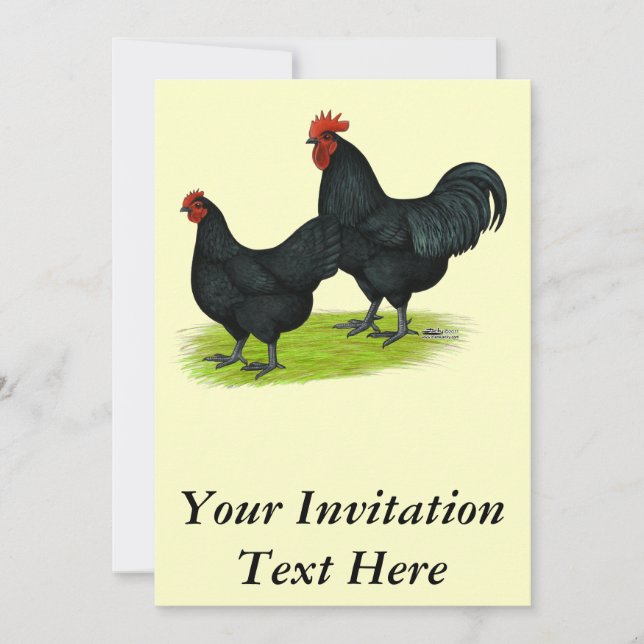Invitation Poulets noirs Australorp (Devant)