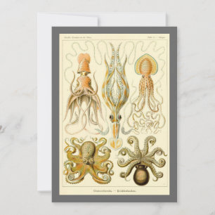 Invitation Poulpe Vintage Calmar Gamochonia par Ernst Haeckel