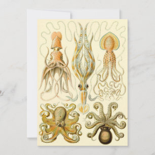 Invitation Poulpe Vintage Gamochonia par Ernst Haeckel