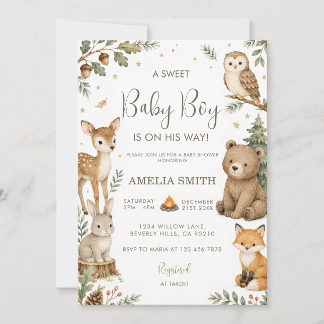 Invitation pour Baby Shower Garçon Animaux de Safa (Devant)