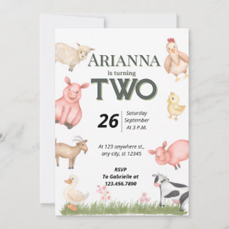 Invitation pour un deuxième anniversaire avec des
