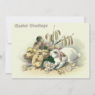 Invitation Poussin lapin de Pâques Daisy