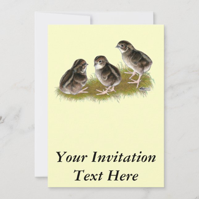 Invitation Poussins de caille Coturnix (Devant)