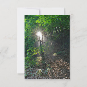 Invitation Poutres de soleil du matin du parc Kaposia