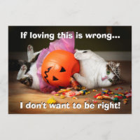 Princesse Chat avec seau à bonbons