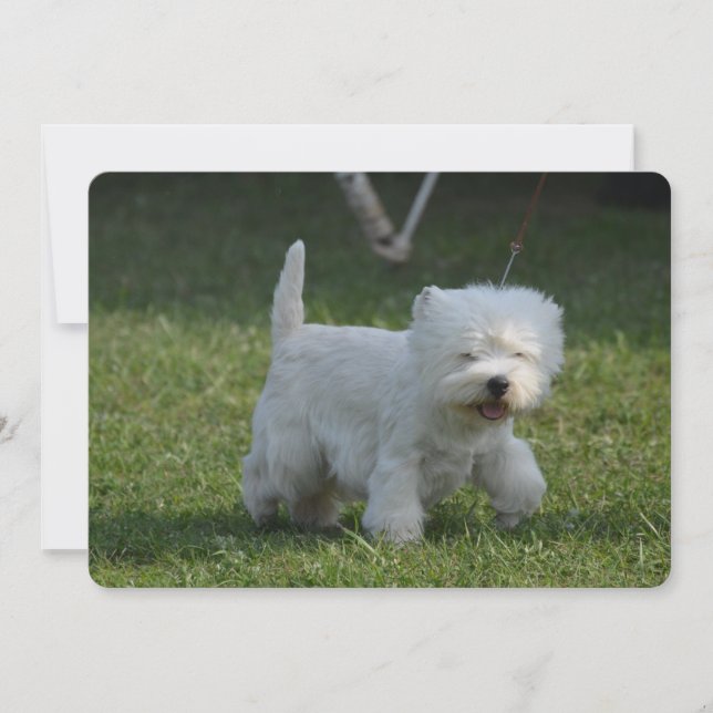 Invitation Produit de personnaliser (Devant)