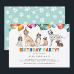 Invitation Puppy Party | Jote Fun Kids Chien Thème Anniversai<br><div class="desc">Invitations de fête d'anniversaire à thème pour chien amusant avec des illustrations de diverses races de chiens et des ballons de fête. L'envers a un motif d'empreinte bleu ciel. Personnalisez avec les détails de votre fête.</div>