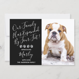 Invitation Puppy Shower Party - Elegant Noir Moderne Pet