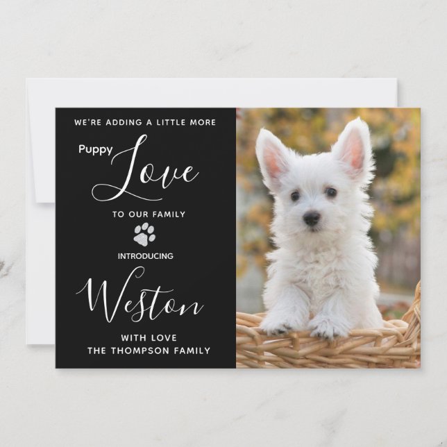 Invitation Puppy ShowParty - Black Elegant Moderne Nouveau An (Devant)