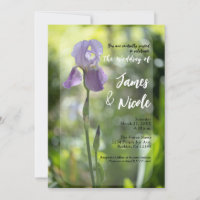 Purple Iris Fleur Vert Printemps Mariage