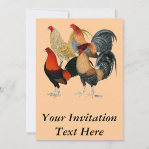 Invitation Quatre Coqs de combat