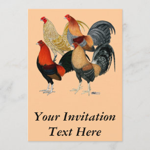 Invitation Quatre coqs de combat