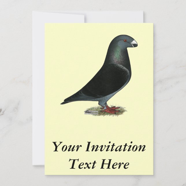 Invitation Racine du spectacle de velours bleu (Devant)