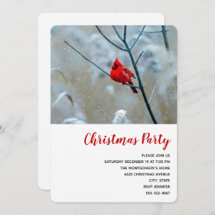Invitation Red Cardinal dans Winter Nature Photo de Christmas