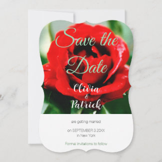 Invitation Red Rose Wedding Enregistrer la date