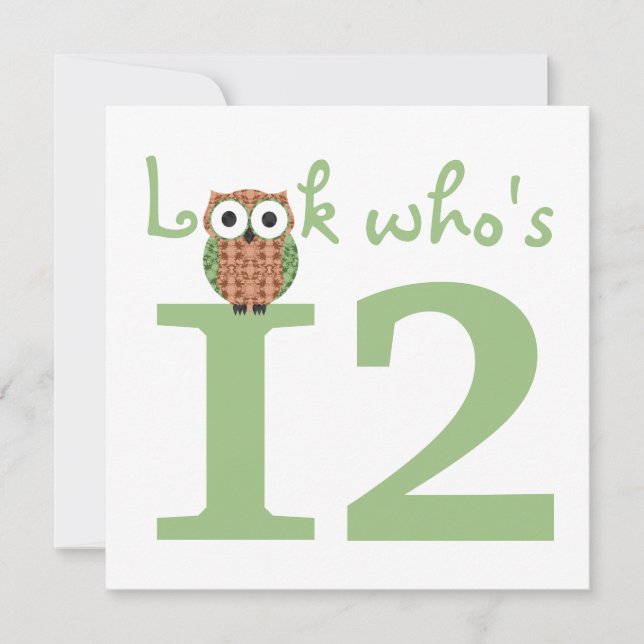 Invitation Regardez qui est 12 Owl Birthday Party (Devant)