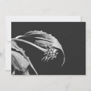 Invitation Réimpression de photo de fleur flétrie gothique