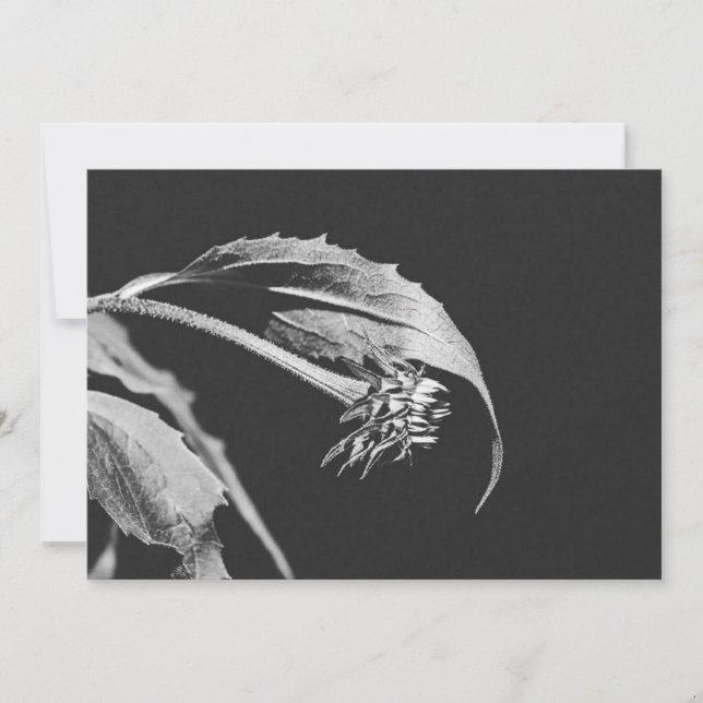 Invitation Réimpression de photo de fleur flétrie gothique (Devant)