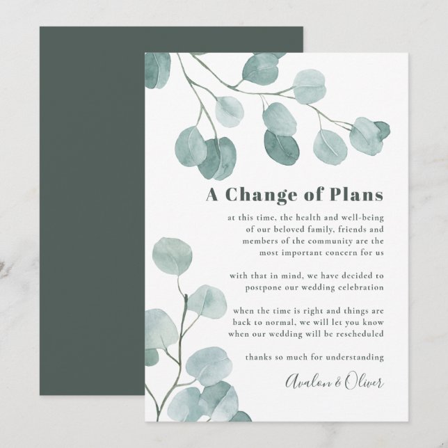 Invitation Remise Mariage en argent Dollar Eucalyptus (Devant / Derrière)