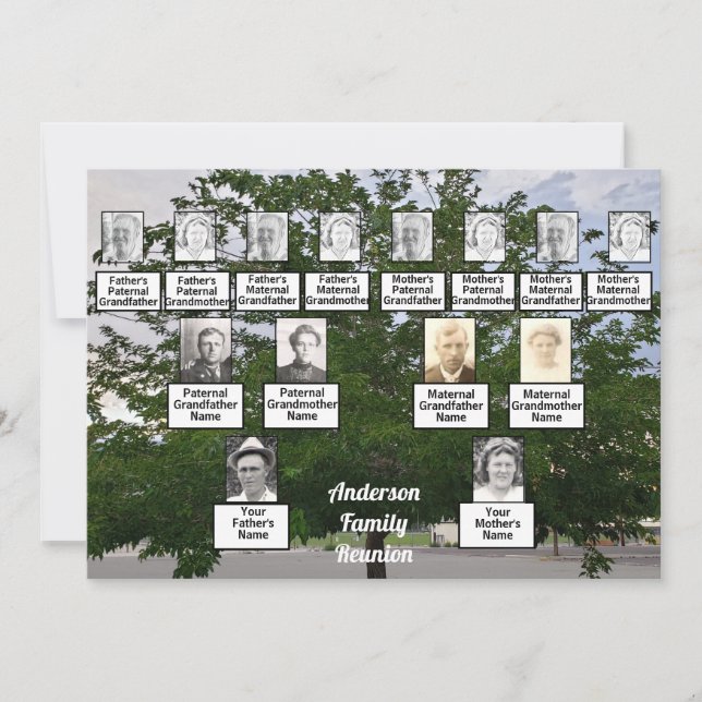 Invitation Réunion familiale Arbre d'été de 3 générations (Devant)