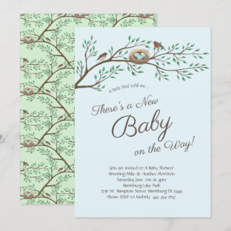 Invitation Robin Bird Spring Baby shower Co-Ed Genre Neutre