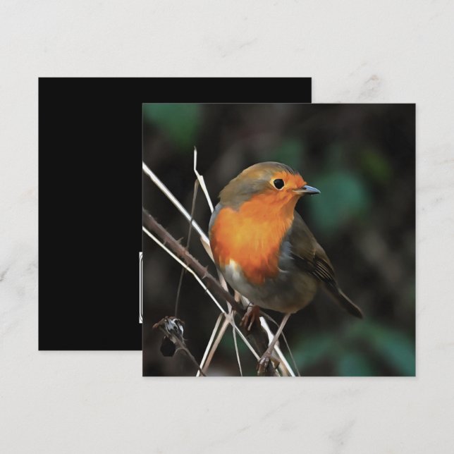 Invitation Robin Être Lumineux Sur Un Jour Dull Art Acrylique (Devant / Derrière)