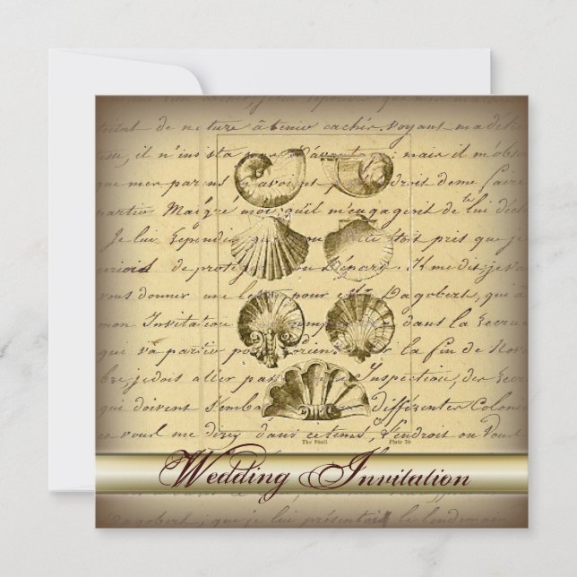 Invitation Romantique Elegant Seashell Beach Mariage Invitati (Devant)